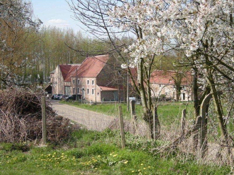 De Verborgen Parel B&B Борґлон Екстер'єр фото